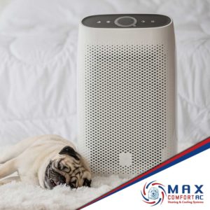 WHY DO YOU NEED AN AIR PURIFIER?